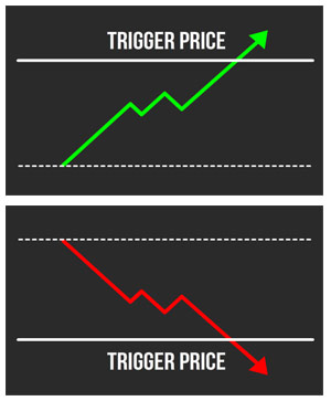 co_trigger__1___1_.jpg